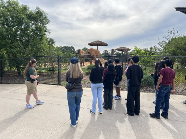 zoo tour