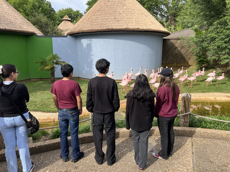 zoo tour