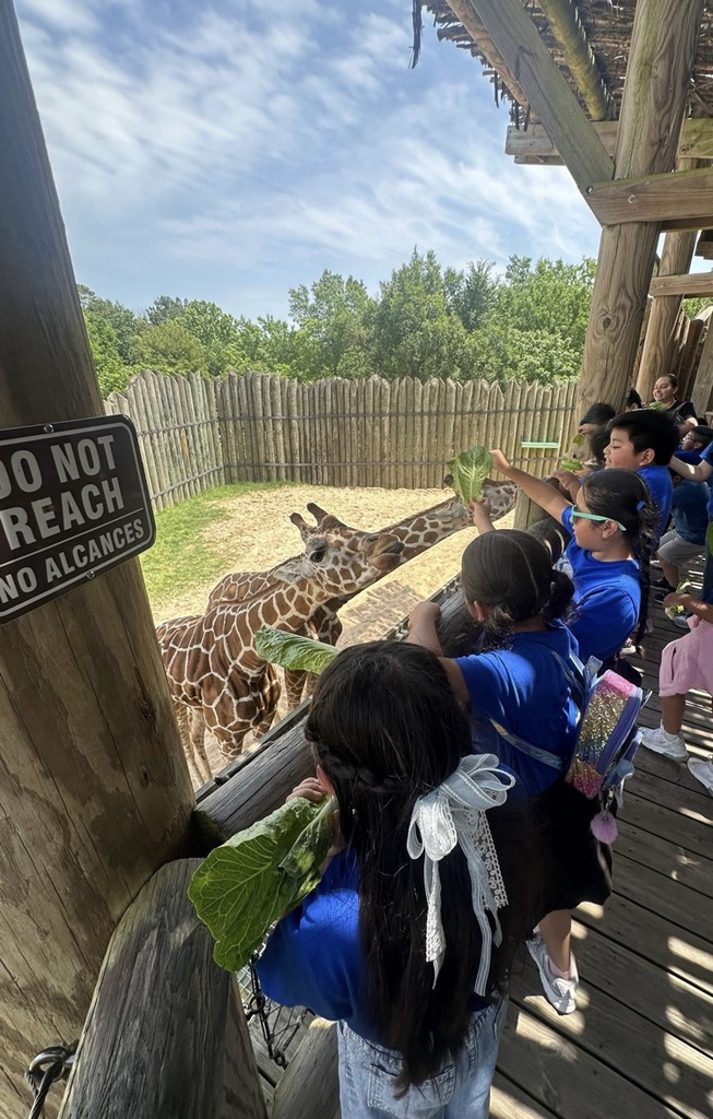Caldwell Zoo Trip