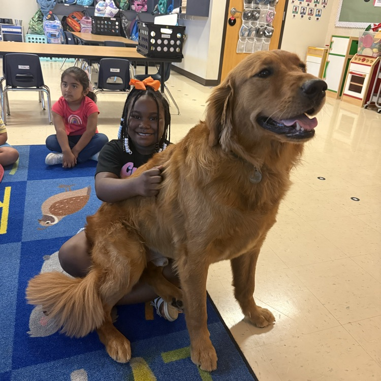 student sitting with golden retriever