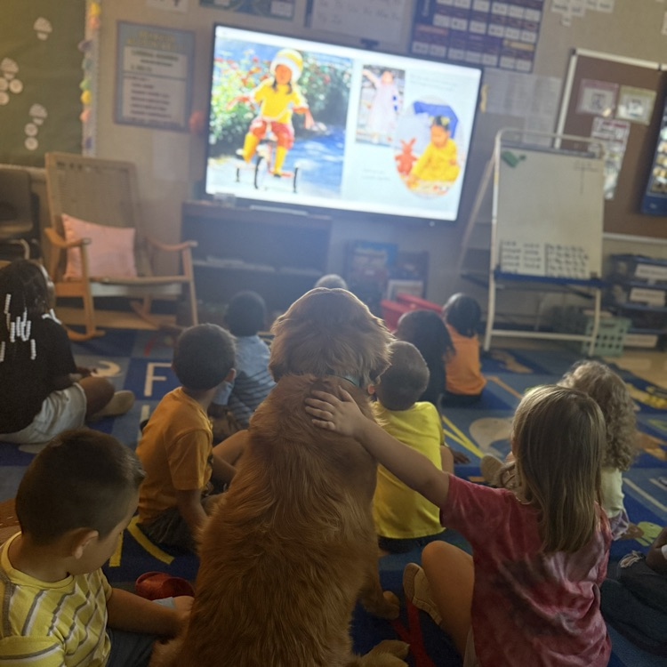 Student sitting with golden retriever, watching a video