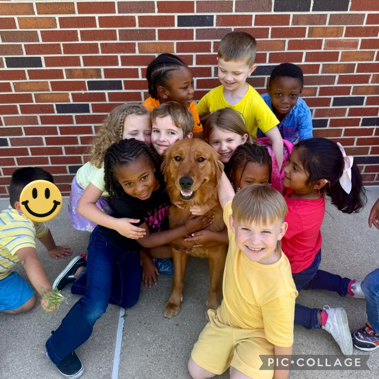Student sitting on the sidewalk with a golden retriever
