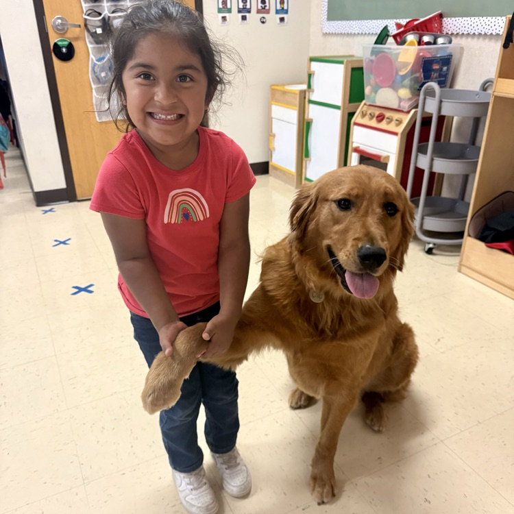 student sitting with golden retriever