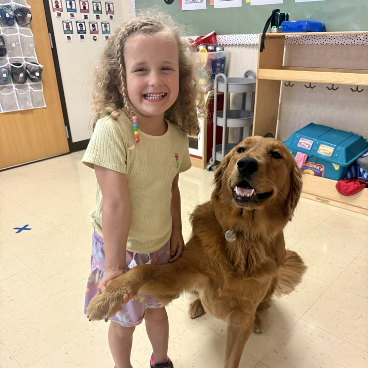 student sitting with golden retriever