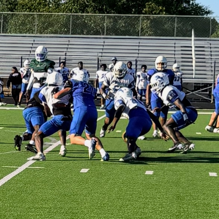 players on football field