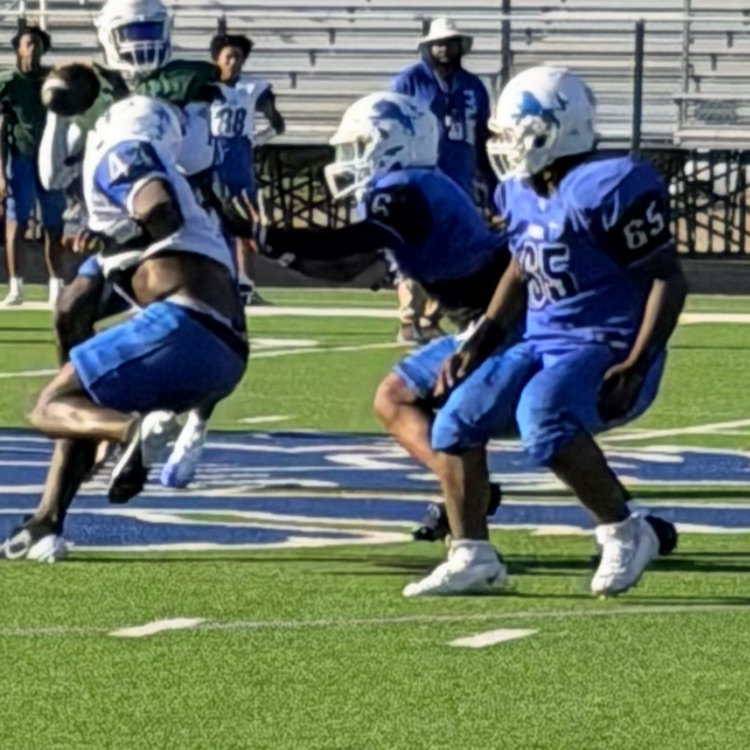 players in football field
