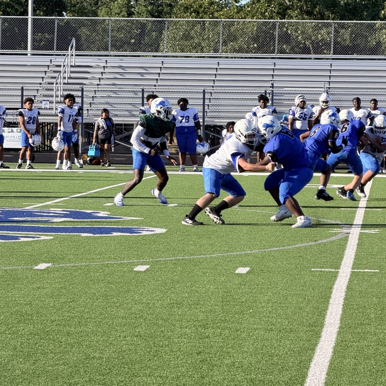 players on football field 