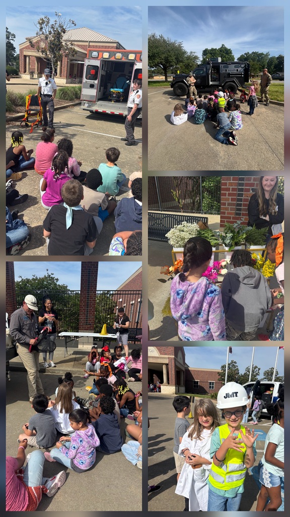 career day