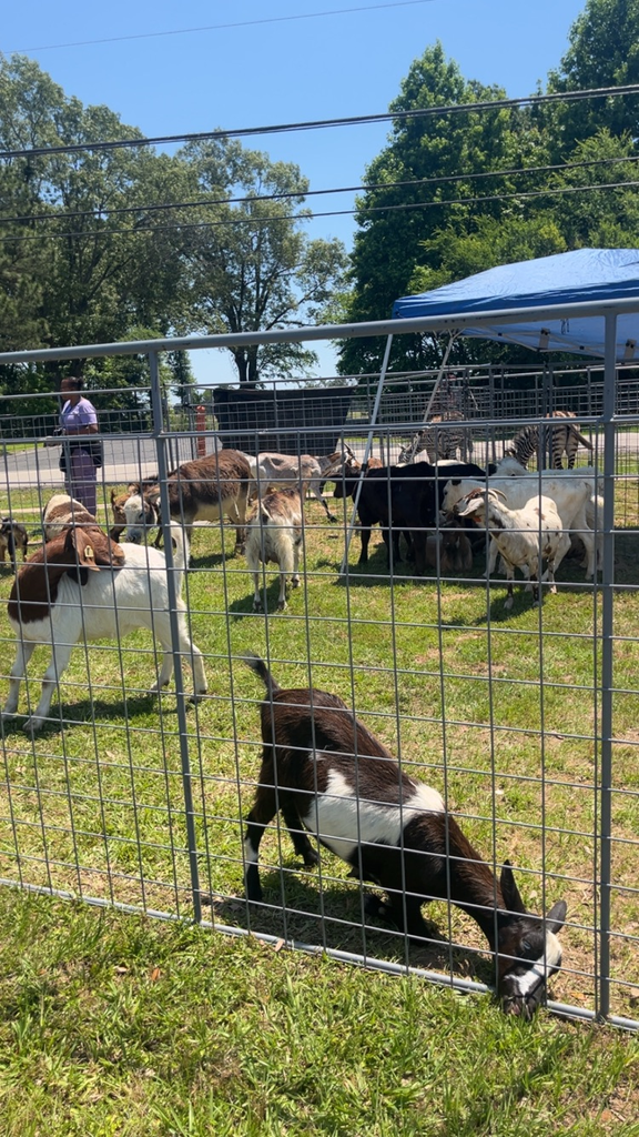 farm day