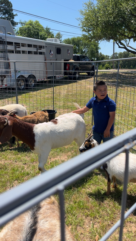 farm day
