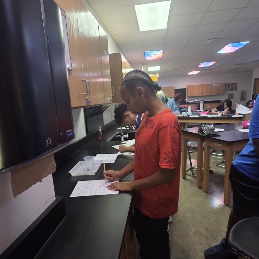8th Grade investi-GATORS classifying and modeling compounds, elements, and mixtures. 