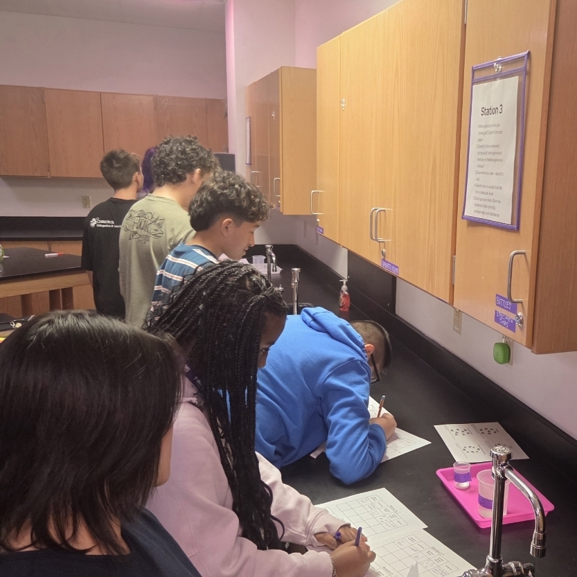 8th Grade investi-GATORS classifying and modeling compounds, elements, and mixtures. 