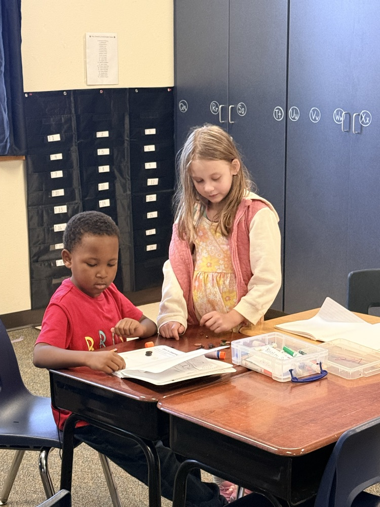 science 2nd grade