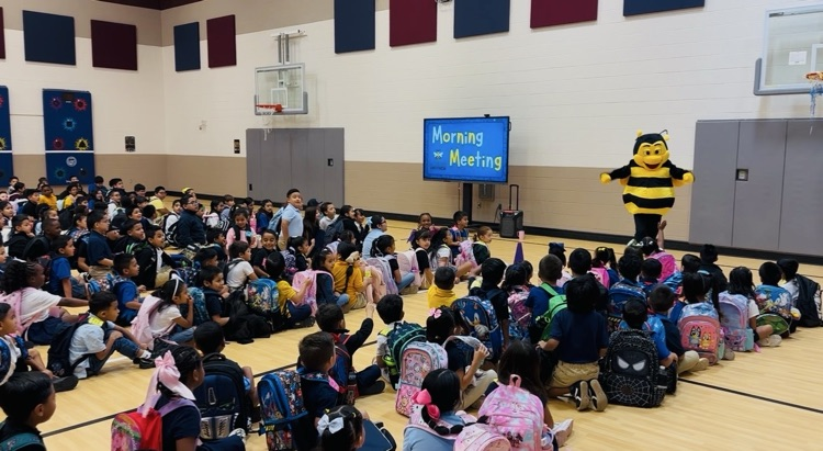 Bonner bees
