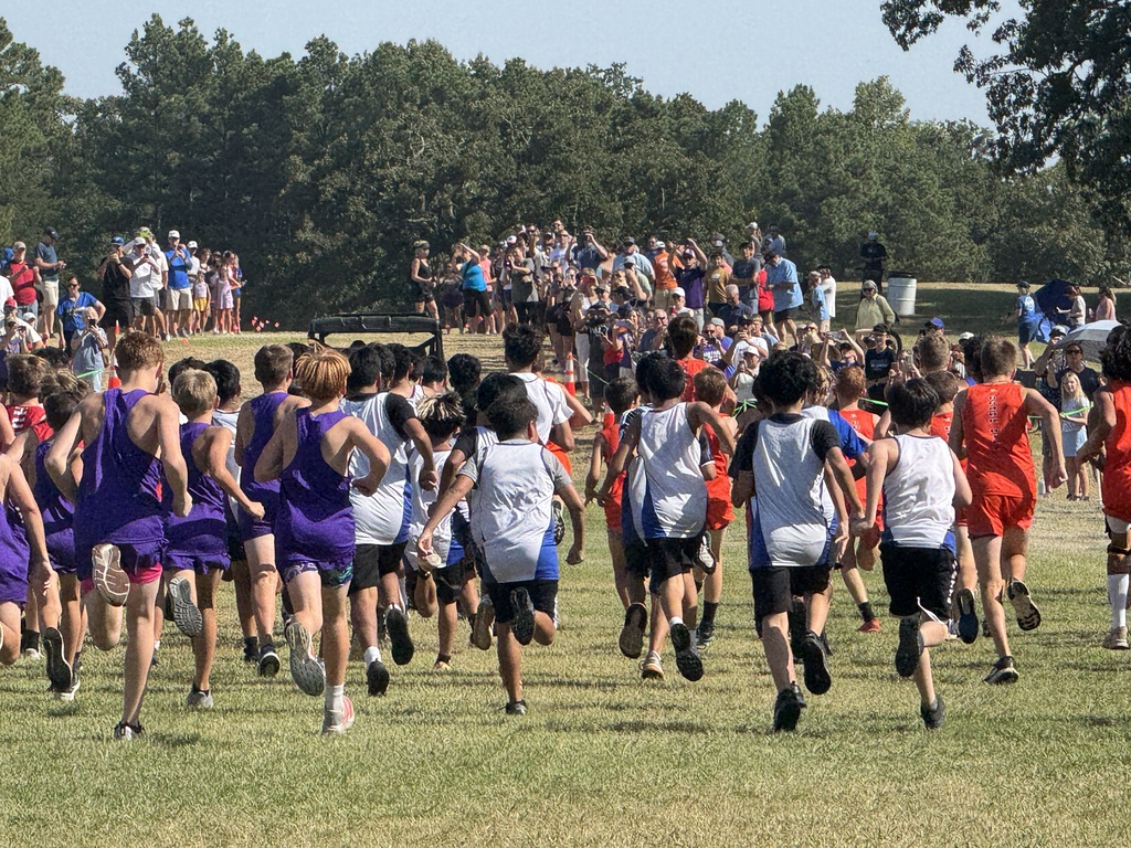 A group of young runners wearing purple, white, and orange jerseys, racing on a grassy field with trees in the background.