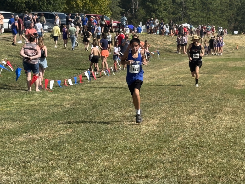 Many people walk and run on a grassy field with flags. Several runners are in the distance.