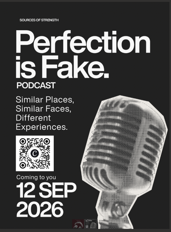 perfection is fake