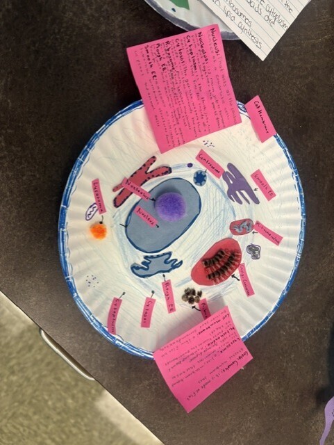 student craft animal cell structure