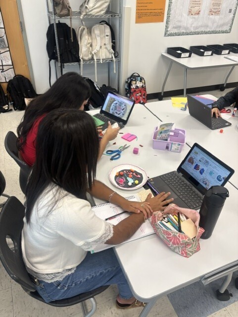 Students studying the animal cell structure