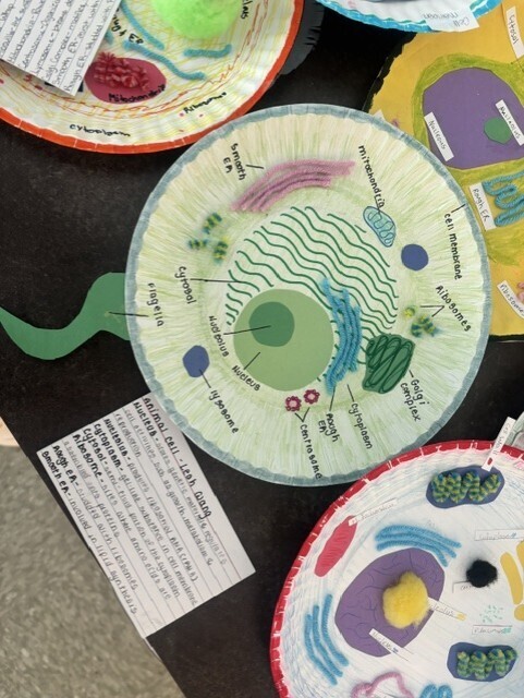 student craft animal cell structure