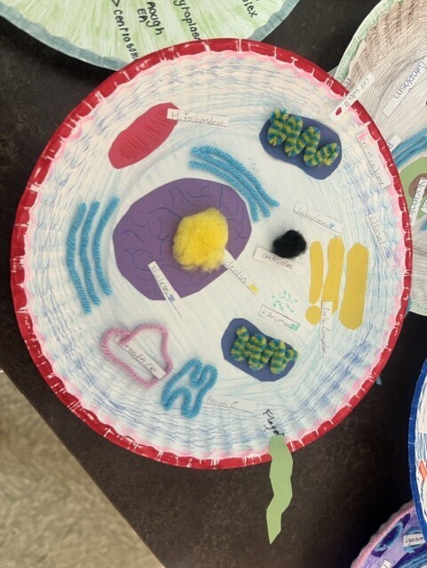student craft animal cell structure