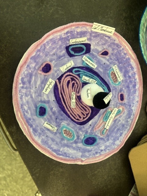 student craft animal cell structure
