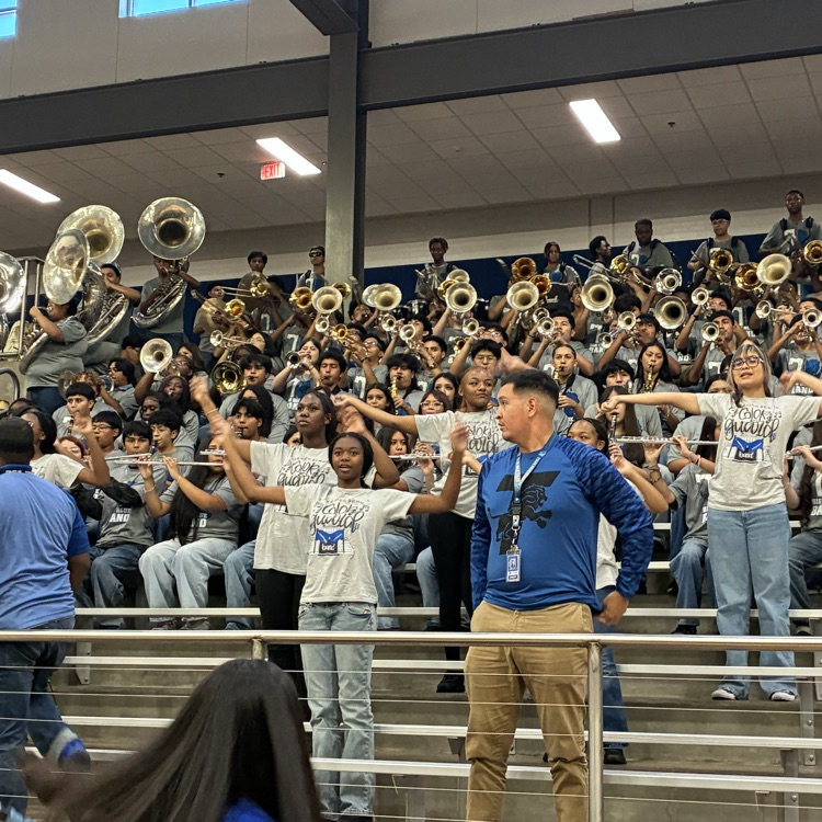band performing in the stands