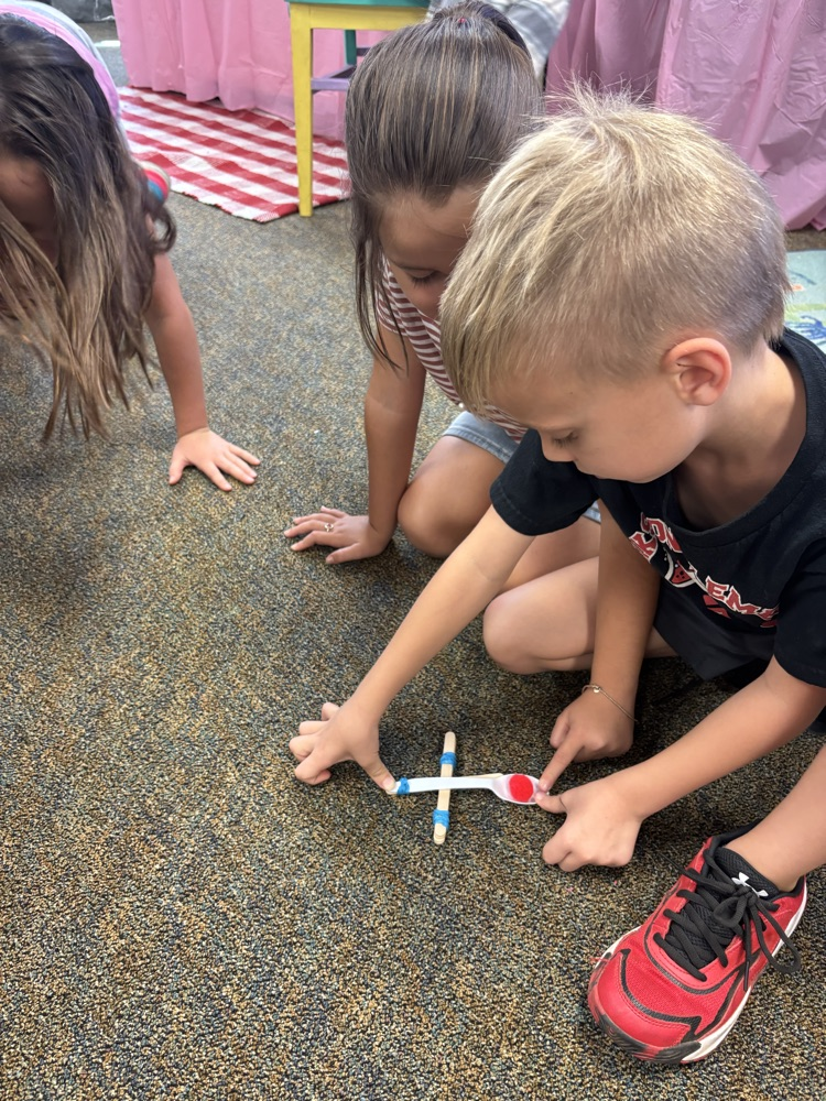 catapults 1st