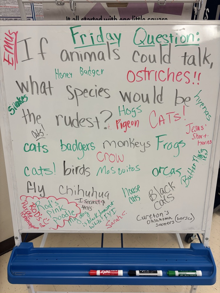 Friday question