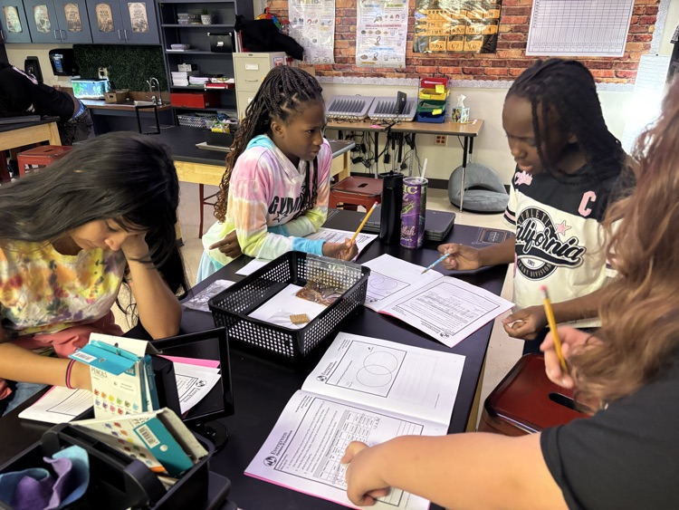 5th science detectives