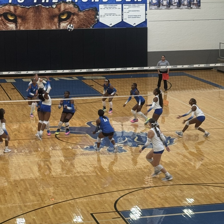 volleyball girls on court