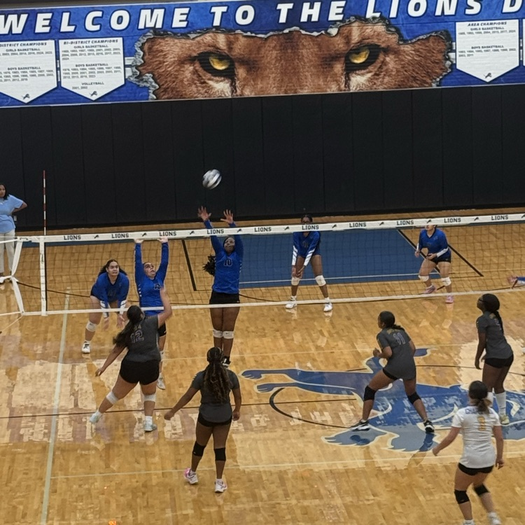 volleyball game