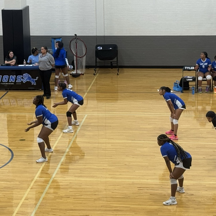 volleyball girls on court
