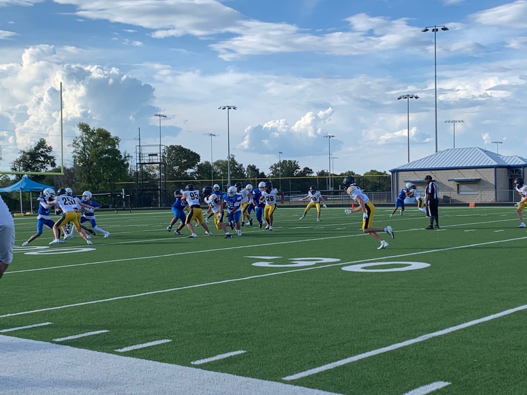 football players on the field