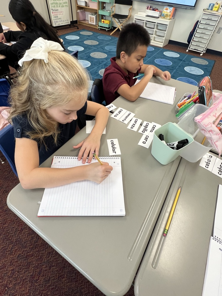 kids working at desks