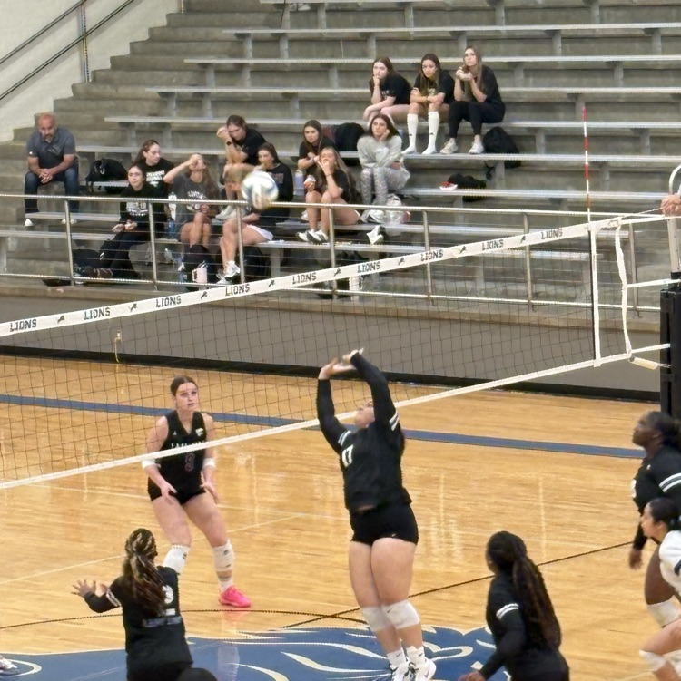volleyball players on the court
