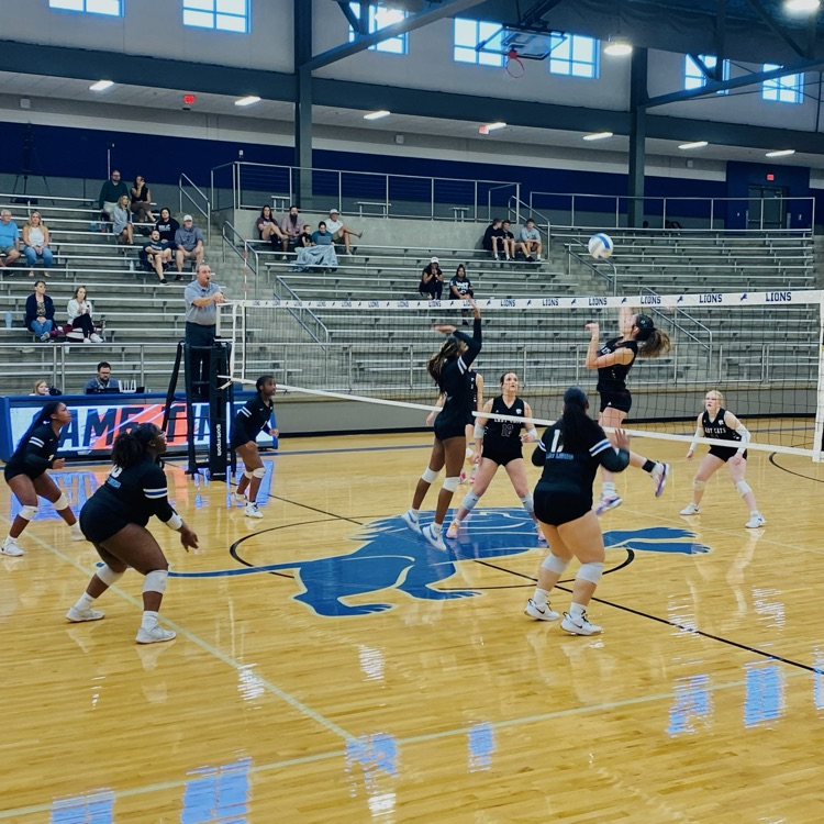 volleyball players on court