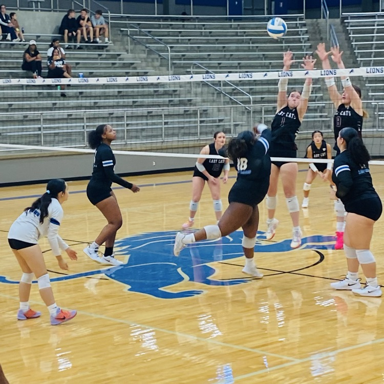 volleyball girls on the court