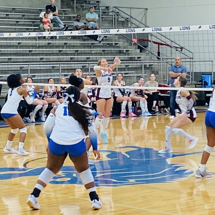 volleyball girls on court