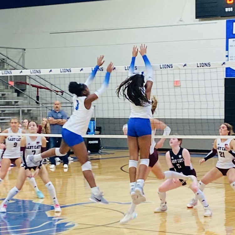 volleyball girls blocking ball