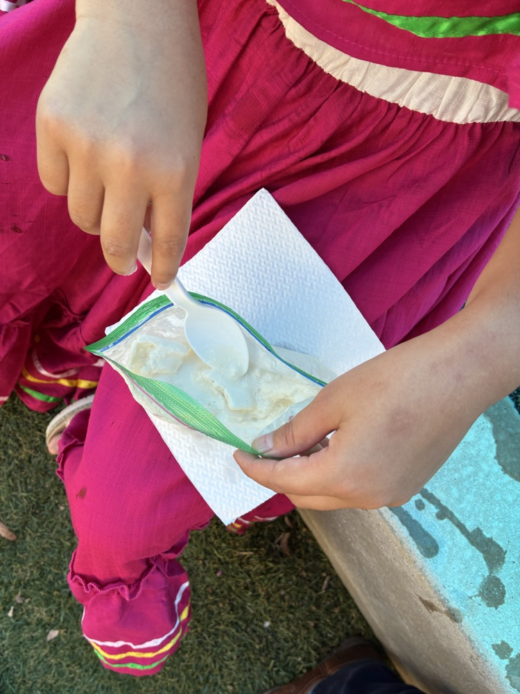ziploc bag with homemade ice cream
