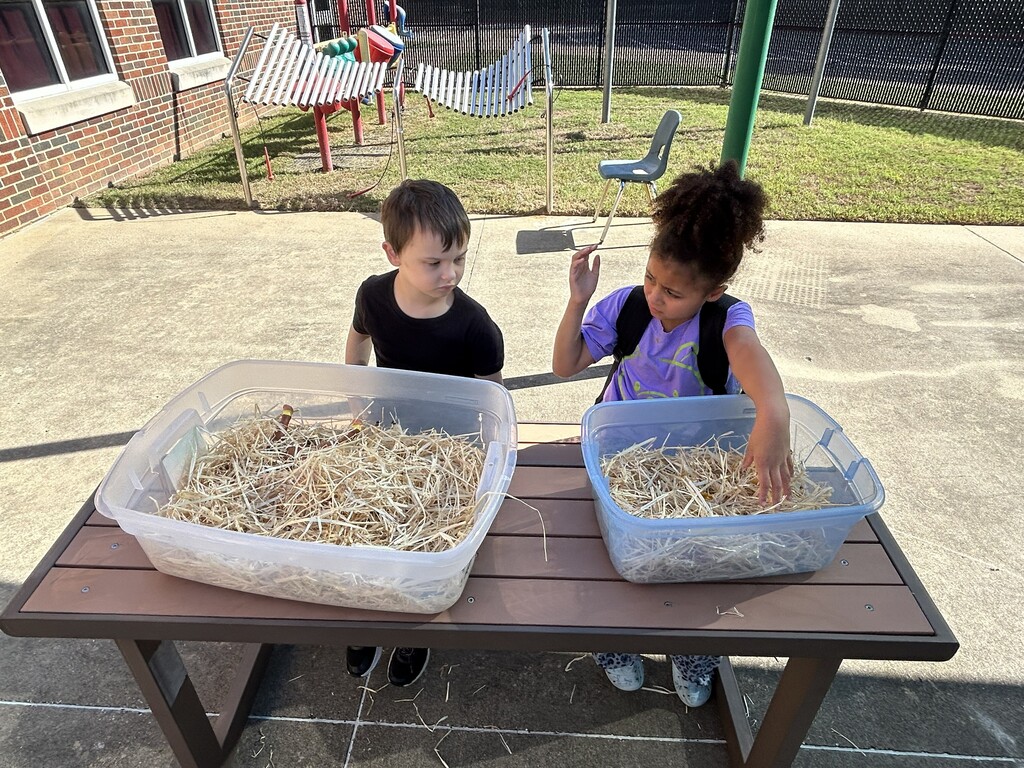 2 students exploring the sensory boxes with hay and play animals.