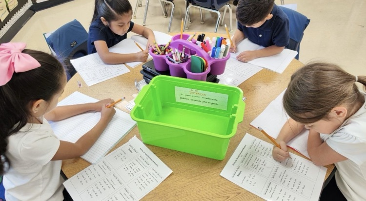 students doing lit centers