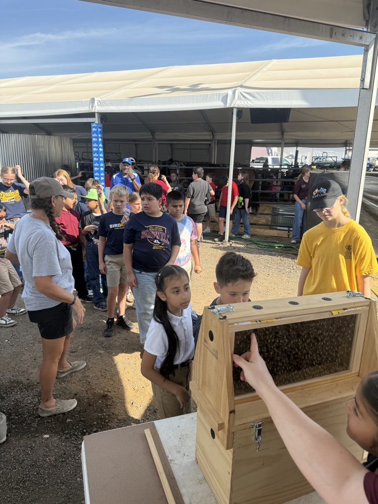 students and teachers at the fair