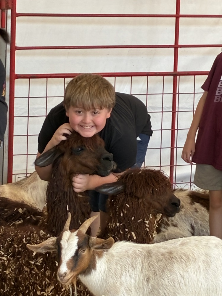 students and teachers at the fair petting goats