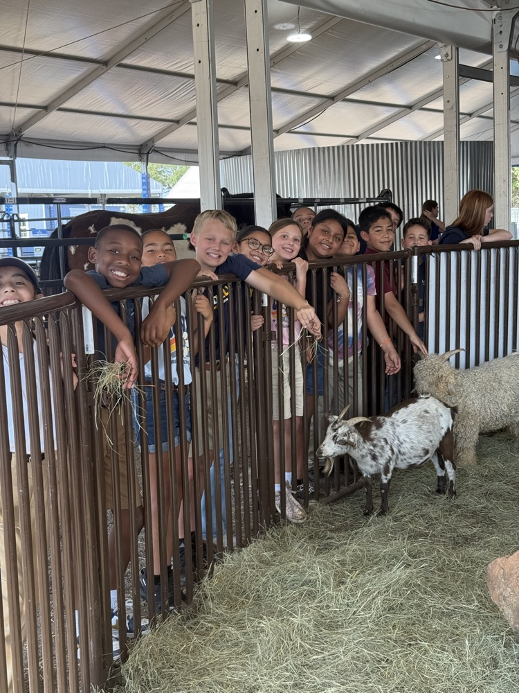 students and teachers at the fair