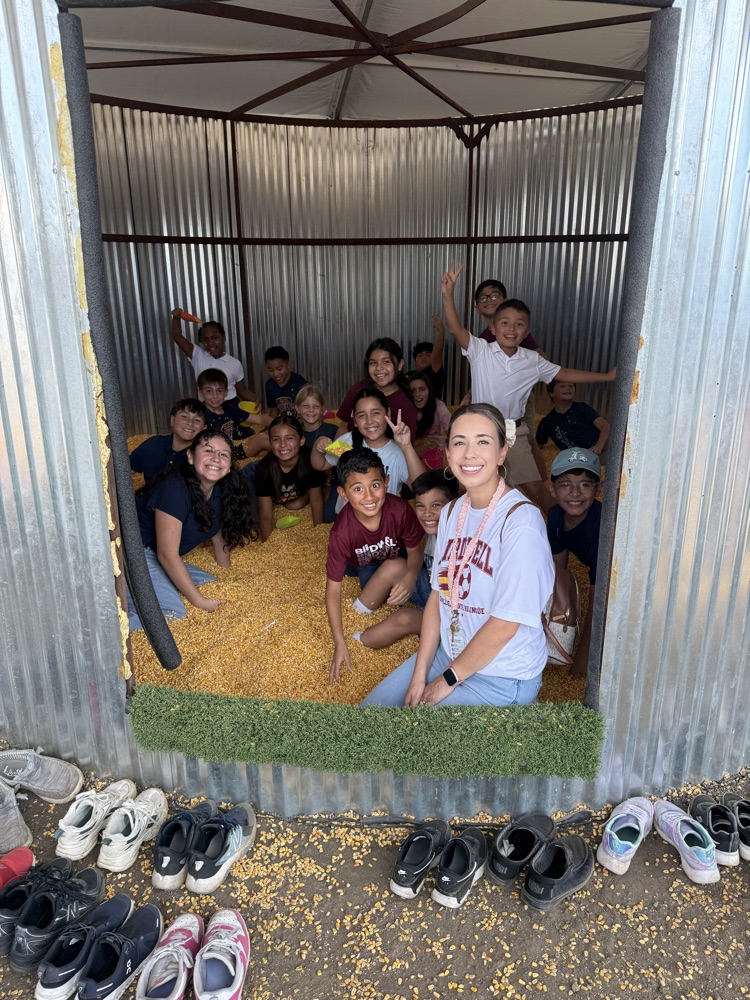 students and teachers at the fair playing in corn
