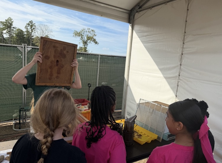 4th fair field trip 