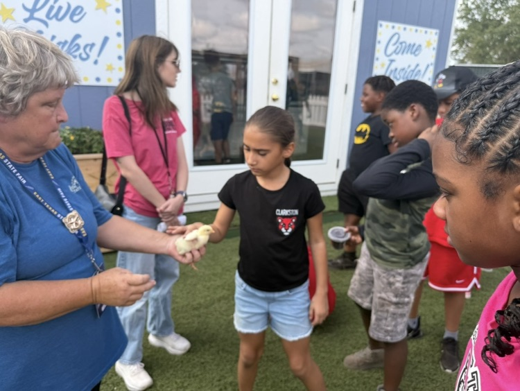 4th fair field trip 