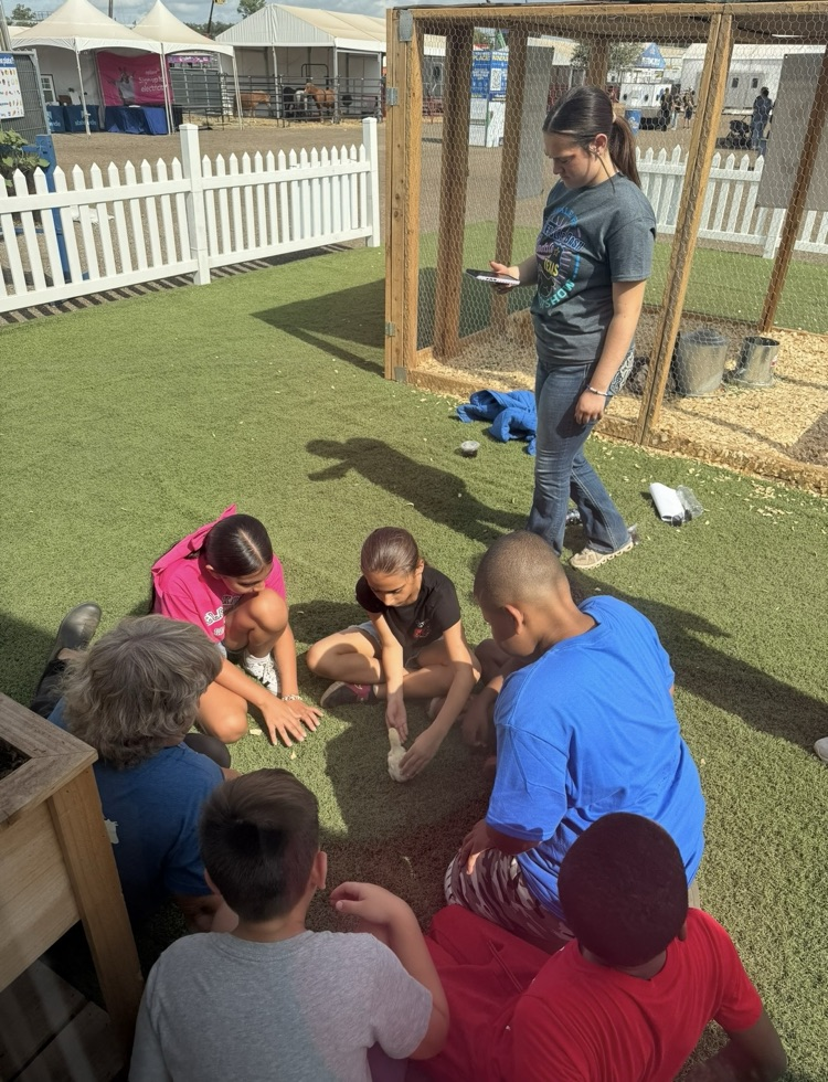 4th fair field trip 